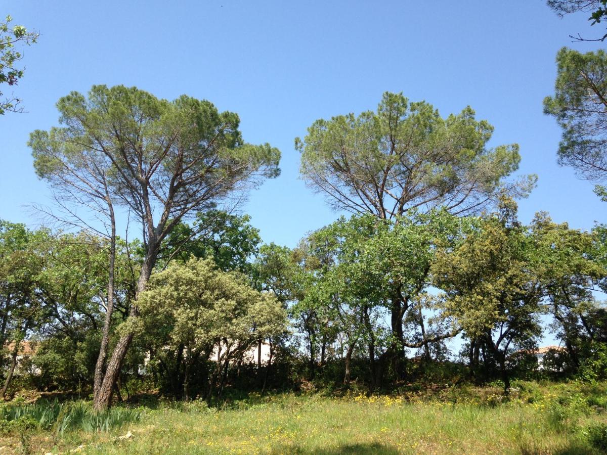 Bed and Breakfast Les Marguerites Vers-Pont-du-Gard Esterno foto