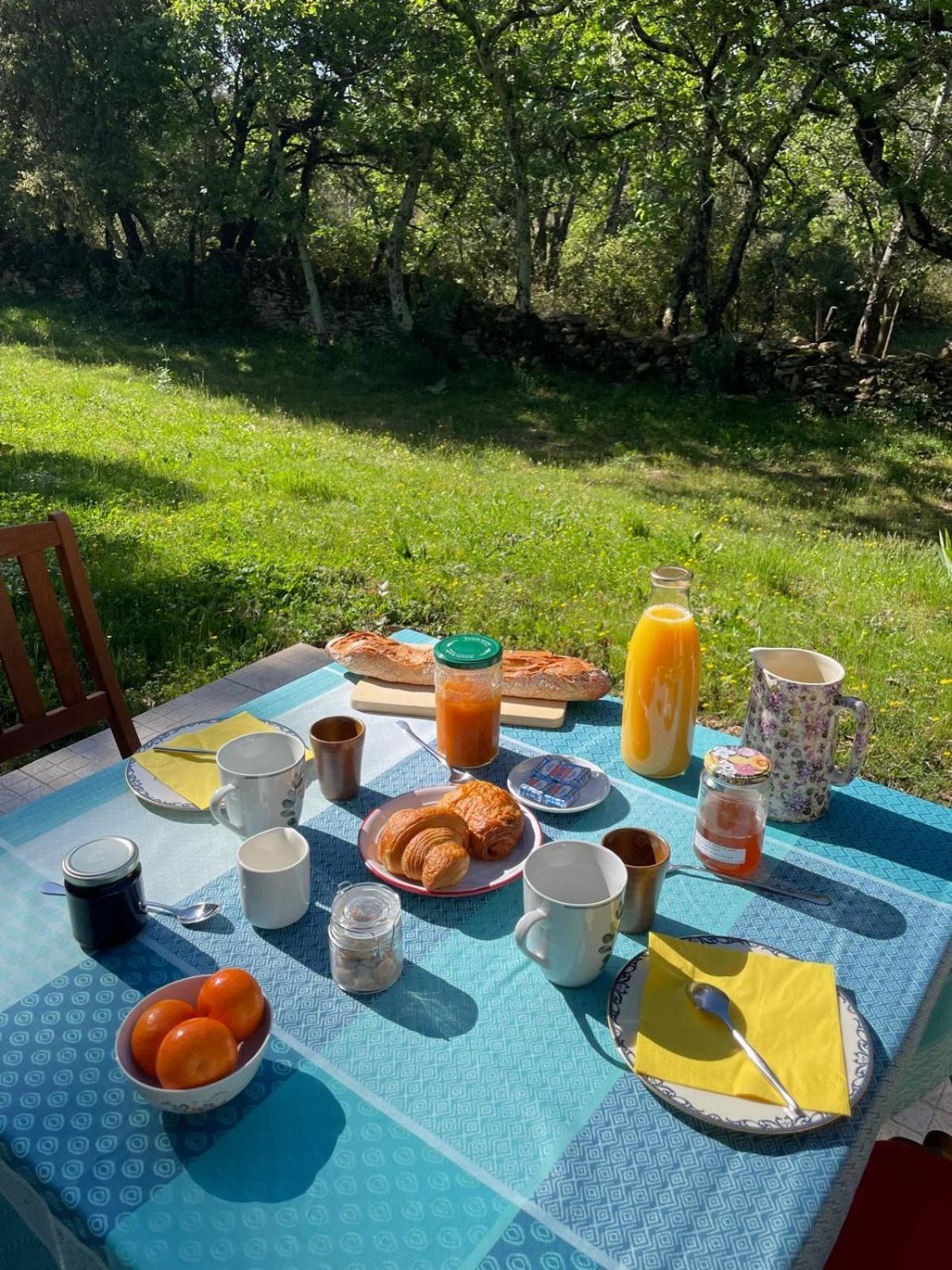 Bed and Breakfast Les Marguerites Vers-Pont-du-Gard Esterno foto